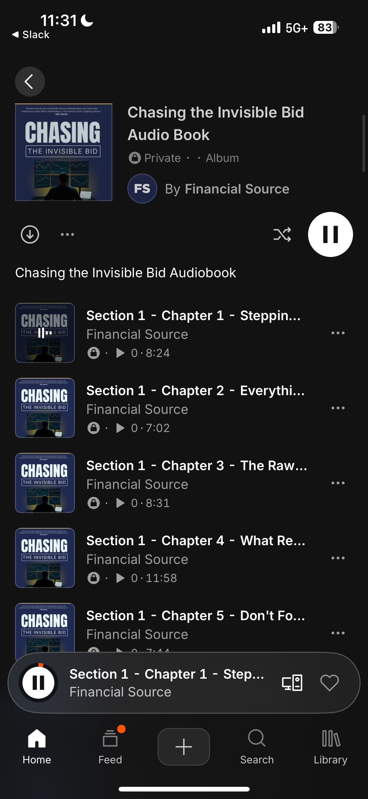 Chasing The Invisible Bid Audiobook