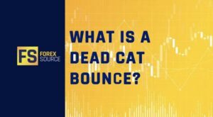 What Is A Dead Cat Bounce?