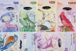 Bermuda Dollar (BMD)