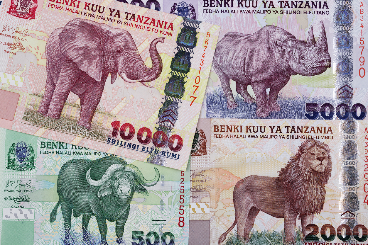 Tanzanian Shilling (TZS)